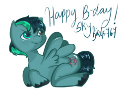 Size: 1078x787 | Tagged: safe, oc, oc only, oc:target strike, pegasus, pony, anatomically incorrect, birthday gift, heterochromia, incorrect leg anatomy, male, prone, simple background, solo, stallion, text, unshorn fetlocks, white background