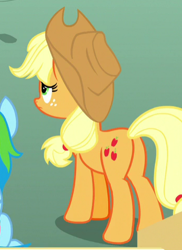 Size: 348x478 | Tagged: safe, screencap, applejack, earth pony, pony, yakity-sax, cropped, plot