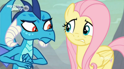 Size: 1680x940 | Tagged: safe, screencap, fluttershy, princess ember, dragon, pegasus, pony, sweet and smoky, dragoness, duo, female, looking at each other, mare