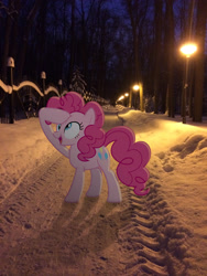 Size: 2448x3264 | Tagged: safe, artist:albertuha, pinkie pie, earth pony, pony, female, irl, mare, night, photo, ponies in real life, raised hoof, smiling, snow, solo, winter