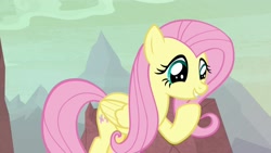 Size: 1920x1080 | Tagged: safe, screencap, fluttershy, pegasus, pony, sweet and smoky, cute, female, mare, raised hoof, shyabetes, smiling, solo