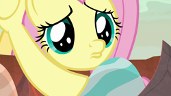 Size: 1920x1080 | Tagged: safe, screencap, fluttershy, pegasus, pony, sweet and smoky, cute, daaaaaaaaaaaw, faic, female, mare, shyabetes, solo