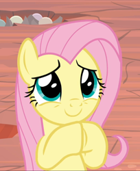 Size: 682x835 | Tagged: safe, screencap, fluttershy, pegasus, pony, sweet and smoky, cropped, cute, female, hooves together, mare, raised hoof, shyabetes, smiling, solo