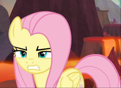 Size: 1293x939 | Tagged: safe, screencap, fluttershy, pegasus, pony, sweet and smoky, angry, badass, cropped, determined, female, flutterbadass, gritted teeth, mare, narrowed eyes, solo