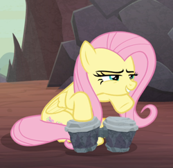 Size: 782x758 | Tagged: safe, screencap, fluttershy, pegasus, pony, sweet and smoky, bongos, cropped, female, mare, narrowed eyes, smiling, smirk, smug, smugshy, solo