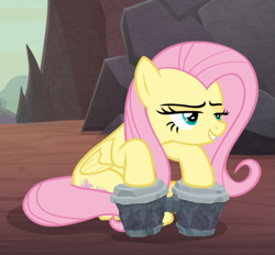 Size: 769x713 | Tagged: safe, screencap, fluttershy, pegasus, pony, sweet and smoky, bongos, cropped, female, mare, narrowed eyes, sitting, smiling, smirk, smug, smugshy, solo