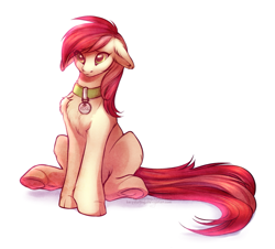 Size: 891x807 | Tagged: safe, artist:kerydarling, roseluck, earth pony, pony, chest fluff, collar, digital art, ear fluff, female, floppy ears, fluffy, leg fluff, mare, pet tag, pony pet, rosepet, simple background, sitting, solo, underhoof, white background