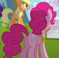 Size: 370x364 | Tagged: safe, screencap, applejack, pinkie pie, earth pony, pony, keep calm and flutter on, cropped, duo, element of honesty, element of laughter, female, mare, plot