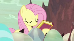 Size: 1920x1080 | Tagged: safe, screencap, fluttershy, pegasus, pony, sweet and smoky, book, egg, solo