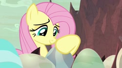 Size: 1920x1080 | Tagged: safe, screencap, fluttershy, pegasus, pony, sweet and smoky, cute, egg, happy, shyabetes, solo