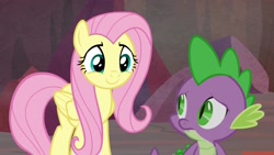 Size: 1920x1080 | Tagged: safe, screencap, fluttershy, spike, dragon, pegasus, pony, sweet and smoky, female, male, smiling, winged spike, wings