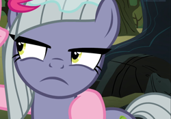 Size: 1344x936 | Tagged: safe, screencap, limestone pie, pinkie pie, earth pony, pony, the maud couple, close-up, cropped, female, glare, limestone pie is not amused, mare, offscreen character, sisters, solo focus