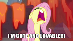 Size: 854x480 | Tagged: safe, edit, edited screencap, screencap, fluttershy, pegasus, pony, sweet and smoky, caption, image macro, solo, text, truth, yelling