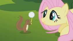 Size: 1280x720 | Tagged: safe, screencap, fluttershy, pegasus, pony, squirrel, swarm of the century, cute, dandelion, female, shyabetes, smiling