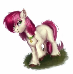 Size: 1980x2000 | Tagged: safe, artist:foaren, roseluck, earth pony, pony, chest fluff, collar, crying, digital art, ear fluff, female, fluffy, grass, hoof fluff, leg fluff, looking at you, mare, missing cutie mark, one hoof raised, pet tag, pony pet, raised hoof, rosepet, sad, simple background, solo, standing, unshorn fetlocks, white background