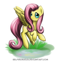 Size: 1000x1048 | Tagged: safe, artist:bel-assa, fluttershy, pegasus, pony, female, flying, grass, looking at you, mare, simple background, smiling, solo, transparent background