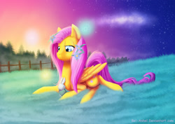 Size: 2500x1767 | Tagged: safe, artist:bel-assa, angel bunny, fluttershy, butterfly, pegasus, pony, rabbit, animal, cloud, duo, female, flower, flower in hair, forest, grass field, mare, prone, scenery, stars, sun, twilight (astronomy)