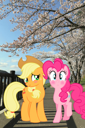 Size: 640x960 | Tagged: artist needed, safe, editor:lisaloudleijon, applejack, pinkie pie, applepie, blushes, blushing, cherry blossoms, cute, date, female, flower, flower blossom, irl, japan, lesbian, photo, ponies in real life, shipping, tokyo