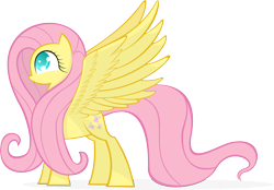 Size: 5751x4000 | Tagged: safe, artist:kalleflaxx, fluttershy, pegasus, pony, cute, eye, eyelashes, eyes, female, long mane, shy, shy smile, shyabetes, simple background, slight smile, smiling, solo, spread wings, standing, transparent background, vector, wingboner, wings