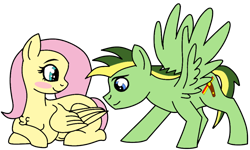 Size: 1000x600 | Tagged: safe, artist:didgereethebrony, fluttershy, oc, oc:didgeree, pegasus, pony, base used, blushing, canon x oc, chest fluff, female, male, mare, pregnant, shipping, simple background, stallion, straight, transparent background