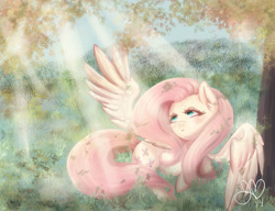 Size: 3000x2300 | Tagged: safe, artist:ponymoonmist, fluttershy, pegasus, pony, blushing, crepuscular rays, cute, ear fluff, female, forest, lidded eyes, looking away, looking up, mare, one wing out, outdoors, prone, shyabetes, solo, spread wings, tree, wings