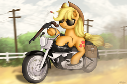 Size: 3040x2020 | Tagged: safe, artist:awalex, applejack, earth pony, pony, female, fence, gun, motorcycle, movie reference, power line, riding, shotgun, solo, sunglasses, terminator, terminator 2, underhoof, weapon, winchester model 1887