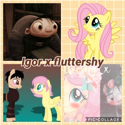 Size: 1024x1024 | Tagged: safe, artist:noreencreatesstuff, artist:paintgreencolor19, artist:sunriseazzurra2004, fluttershy, pony, equestria girls, art trade, collage, crossover, crossover shipping, floral head wreath, flower, igor, ponified, shipping