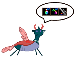 Size: 444x353 | Tagged: safe, artist:watermelon changeling, derpibooru exclusive, pharynx, changedling, changeling, to change a changeling, 1000 hours in ms paint, :/, ms paint, prince pharynx, simple background, solo, speech bubble, spread wings, stick figure, white background, wings