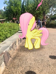 Size: 3024x4032 | Tagged: safe, photographer:undeadponysoldier, fluttershy, butterfly, human, pegasus, pony, amusement park, animal kingdom, augmented reality, bush, disney world, female, florida, gameloft, irl, irl human, mare, orlando, photo, ponies in real life, theme park, tree