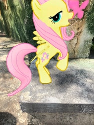 Size: 3024x4032 | Tagged: safe, photographer:undeadponysoldier, fluttershy, butterfly, pegasus, pony, animal kingdom, augmented reality, disney world, female, florida, gameloft, irl, looking at you, mare, open mouth, orlando, photo, ponies in real life, pose, standing up