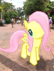 Size: 3024x4032 | Tagged: safe, photographer:undeadponysoldier, fluttershy, human, pegasus, pony, amusement park, animal kingdom, augmented reality, disney world, female, florida, gameloft, irl, irl human, mare, orlando, photo, ponies in real life, theme park, tree