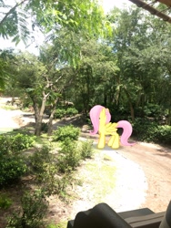 Size: 3024x4032 | Tagged: safe, photographer:undeadponysoldier, fluttershy, butterfly, pegasus, pony, animal kingdom, augmented reality, disney world, female, florida, gameloft, irl, kilimanjaro safaris, looking at you, mare, open mouth, orlando, photo, ponies in real life, pose, safari ride