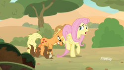 Size: 1920x1080 | Tagged: safe, screencap, applejack, fluttershy, earth pony, pegasus, pony, squirrel, sounds of silence, discovery family logo, female, gritted teeth, mare, messy mane, pushing, rump push, tree