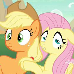 Size: 1079x1078 | Tagged: safe, screencap, applejack, fluttershy, earth pony, pegasus, pony, sounds of silence, cropped, duo, female, funny, great moments in animation, mare, meme, special eyes, wide eyes