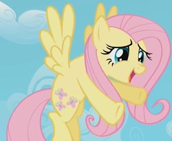 Size: 879x720 | Tagged: safe, screencap, fluttershy, pegasus, pony, may the best pet win, cropped, cute, hug, incoming hug