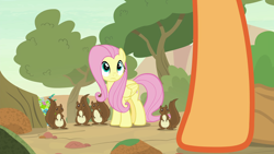 Size: 1920x1080 | Tagged: safe, screencap, applejack, fluttershy, earth pony, pegasus, pony, squirrel, sounds of silence, female, mare
