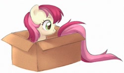 Size: 796x474 | Tagged: safe, artist:viki-niki, roseluck, earth pony, pony, box, cute, cuteluck, female, mare, pony in a box, pony pet, rosepet, simple background, solo, white background