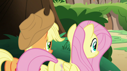 Size: 1280x720 | Tagged: safe, screencap, applejack, fluttershy, earth pony, pegasus, pony, sounds of silence, plot