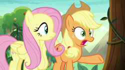 Size: 1280x720 | Tagged: safe, screencap, applejack, fluttershy, earth pony, pegasus, pony, sounds of silence, female, mare