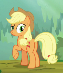 Size: 266x309 | Tagged: safe, screencap, applejack, earth pony, pony, sounds of silence, cropped, female, mare, plot, raised eyebrow, raised hoof, solo