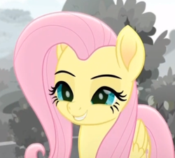 Size: 453x410 | Tagged: safe, screencap, fluttershy, pegasus, pony, rainbow roadtrip, cropped, female, lidded eyes, mare, mid-blink screencap, solo