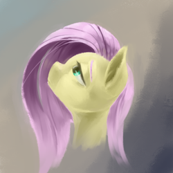 Size: 500x500 | Tagged: safe, artist:usager, fluttershy, pegasus, pony, bust, female, looking up, mare, portrait, profile, solo