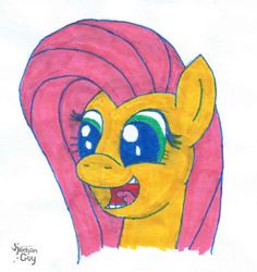 Size: 1208x1279 | Tagged: safe, artist:wouterthebelgian1999, fluttershy, pegasus, pony, bust, head, marker drawing, portrait, traditional art