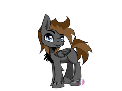 Size: 1400x1050 | Tagged: safe, artist:diamondsparkle7, oc, oc only, oc:skylar, pegasus, pony, simple background, solo, white background