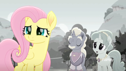 Size: 1366x768 | Tagged: safe, screencap, fluttershy, pegasus, pony, rainbow roadtrip, desaturated, discovery family logo, grayscale, hoofingtons, monochrome, mr. hoofington, mrs. hoofington