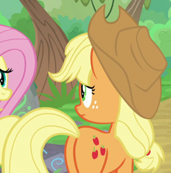 Size: 678x684 | Tagged: safe, screencap, applejack, fluttershy, earth pony, pegasus, pony, sounds of silence, applebutt, cropped, plot