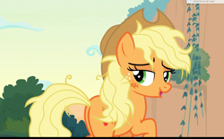 Size: 1735x1078 | Tagged: safe, screencap, applejack, earth pony, pony, sounds of silence, lidded eyes, looking back, messy mane, solo