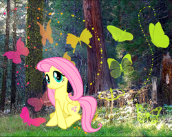 Size: 932x742 | Tagged: safe, artist:morningstar-1337, fluttershy, pegasus, pony, female, mare, solo