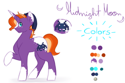 Size: 6000x4000 | Tagged: safe, artist:mah521, oc, oc only, oc:midnight moon, pony, unicorn, absurd resolution, appaloosa, blaze (coat marking), male, offspring, parent:sunburst, parent:twilight sparkle, parents:twiburst, raised hoof, reference sheet, simple background, socks (coat marking), solo, stallion, white background