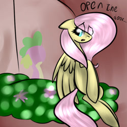 Size: 700x700 | Tagged: safe, artist:vikuskaal, fluttershy, spike, dragon, pegasus, pony, context is for the weak, female, floppy ears, flutterspike, male, mare, shipping, straight